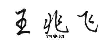 駱恆光王兆飛行書個性簽名怎么寫