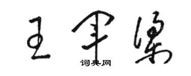 駱恆光王軍梁草書個性簽名怎么寫