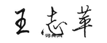 駱恆光王志苹行書個性簽名怎么寫