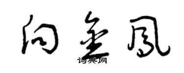 曾慶福向金鳳草書個性簽名怎么寫