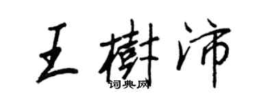 王正良王樹沛行書個性簽名怎么寫