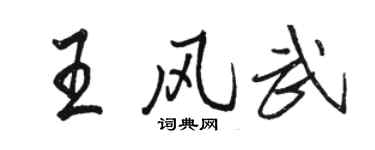 駱恆光王風武行書個性簽名怎么寫