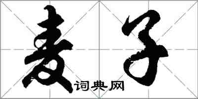 胡問遂麥子行書怎么寫