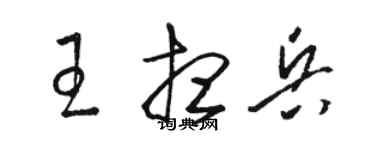 駱恆光王想兵草書個性簽名怎么寫
