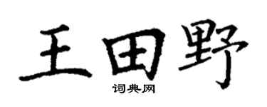 丁謙王田野楷書個性簽名怎么寫