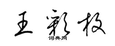 梁錦英王彩枚草書個性簽名怎么寫