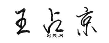 駱恆光王占京行書個性簽名怎么寫