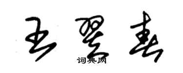 朱錫榮王翌春草書個性簽名怎么寫