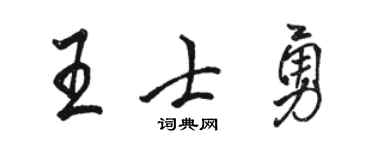 駱恆光王士勇行書個性簽名怎么寫
