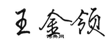 駱恆光王金領行書個性簽名怎么寫