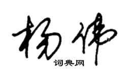 朱錫榮楊偉草書個性簽名怎么寫