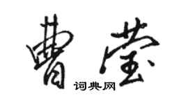 駱恆光曹瑩行書個性簽名怎么寫