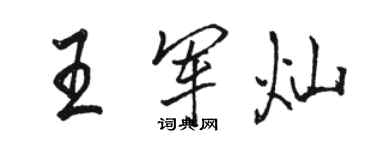 駱恆光王軍燦行書個性簽名怎么寫