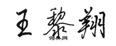 駱恆光王黎翔行書個性簽名怎么寫