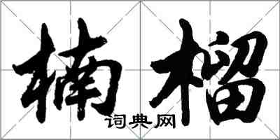 胡問遂楠榴行書怎么寫