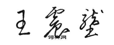 駱恆光王震壟草書個性簽名怎么寫