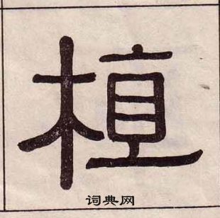 黃葆戉千字文中植的寫法