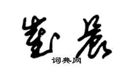 朱錫榮崔晨草書個性簽名怎么寫