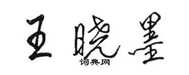 駱恆光王曉墨行書個性簽名怎么寫