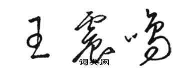 駱恆光王震鳴草書個性簽名怎么寫
