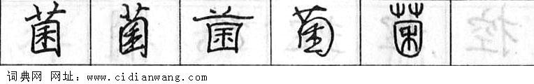 鋼筆字典