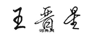 駱恆光王晉星行書個性簽名怎么寫