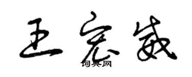 曾慶福王宏威草書個性簽名怎么寫