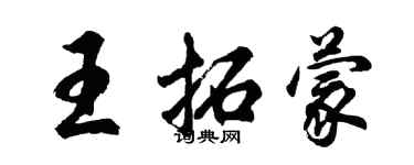 胡問遂王拓蒙行書個性簽名怎么寫