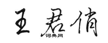 駱恆光王君俏行書個性簽名怎么寫