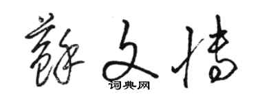 駱恆光蘇文博草書個性簽名怎么寫