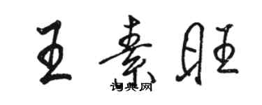 駱恆光王素旺行書個性簽名怎么寫