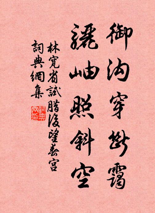 未曾拈出定盤星，多少行家怨不平 詩詞名句