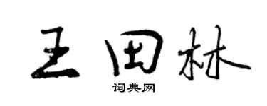 曾慶福王田林行書個性簽名怎么寫