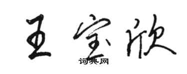 駱恆光王寶欣行書個性簽名怎么寫