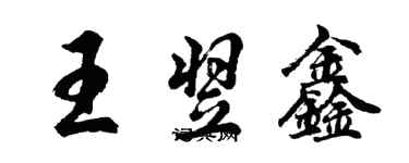 胡問遂王翌鑫行書個性簽名怎么寫