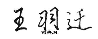 駱恆光王羽遷行書個性簽名怎么寫