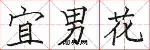 駱恆光宜男花楷書怎么寫