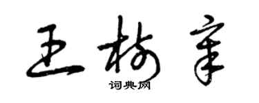 曾慶福王樹章草書個性簽名怎么寫