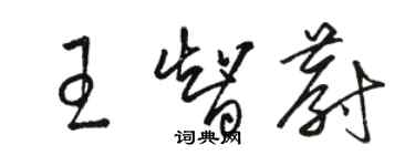 駱恆光王智蔚草書個性簽名怎么寫