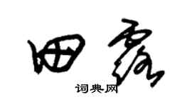 朱錫榮田露草書個性簽名怎么寫