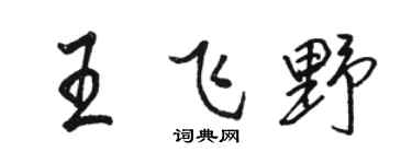 駱恆光王飛野行書個性簽名怎么寫