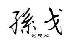 王正良孫戈行書個性簽名怎么寫