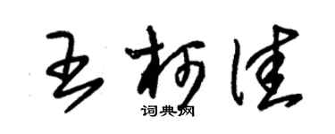 朱錫榮王柯佳草書個性簽名怎么寫