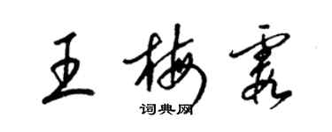 梁錦英王梅霞草書個性簽名怎么寫