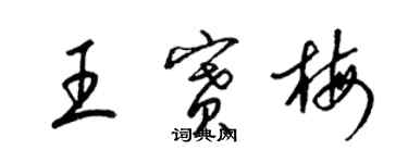 梁錦英王賽梅草書個性簽名怎么寫