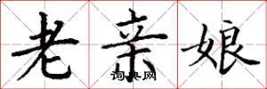 丁謙老親娘楷書怎么寫