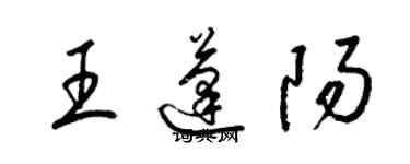 梁錦英王蓬陽草書個性簽名怎么寫