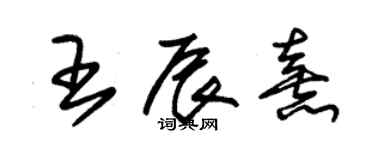 朱錫榮王辰熹草書個性簽名怎么寫