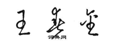 駱恆光王春金草書個性簽名怎么寫