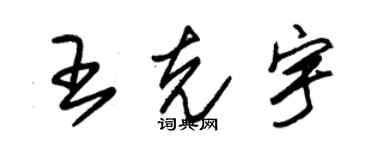 朱錫榮王克宇草書個性簽名怎么寫